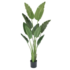 人工観葉植物　フェイクグリーン　オーガスタ1150【フェイクグリーン・ニコライ・人工観葉植物・トラベラーズパーム】 Artificial - Green フェイクグリーン オーガスタ – KANADEMONO