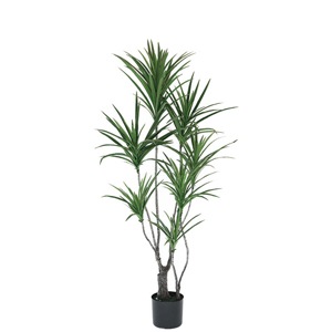 �͹����տ�ʪ���ե��������꡼�󡡥��󥷥�͡�1300���ڿ͹���ʪ��¤�֡�