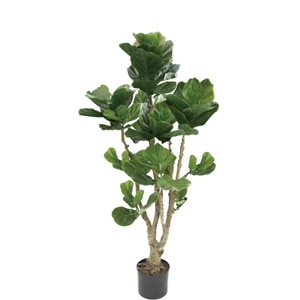 �͹����տ�ʪ���ե��������꡼�󡡥�����Х���1600�ڥ�����Х���Υ������ե��ࡦ�͹����տ�ʪ��¤�֡�