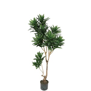 �͹����տ�ʪ���ե��������꡼�󡡥���ޥ�����1250�� �ڿ͹����տ�ʪ��¤�֡�