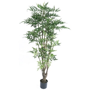 �͹����տ�ʪ���ե��������꡼�󡡥ݥꥷ�㥹��1800���ڿ͹����տ�ʪ��¤�֡�