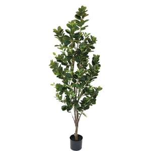 �͹����տ�ʪ���ե��������꡼�󡡥ե�󥹥���1600�ڿ͹����տ�ʪ��¤�֡�