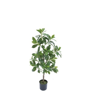 �͹����տ�ʪ���ե��������꡼�󡡥ե������ʥʡ�900�ڿ͹����տ�ʪ��