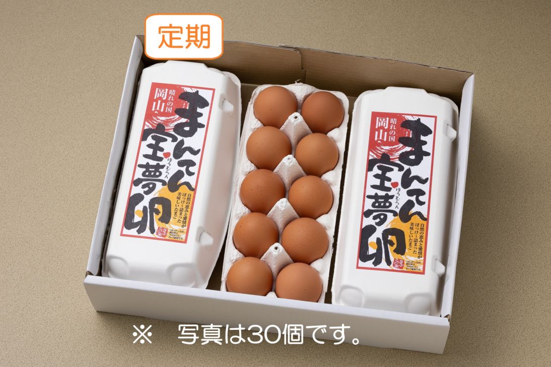 【定期・送料込】まんてん宝夢卵（60個入）｜新鮮卵を定期でお届け