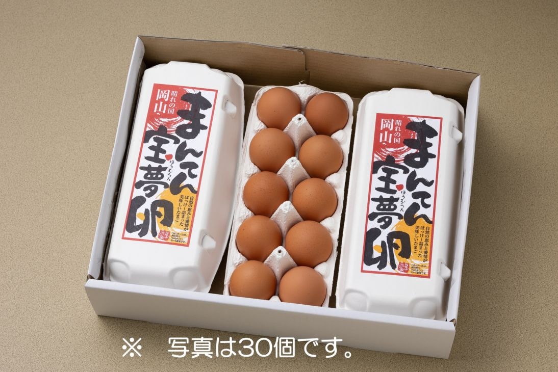 【1回購入・送料込】まんてん宝夢卵（90個入）｜新鮮卵をお届け