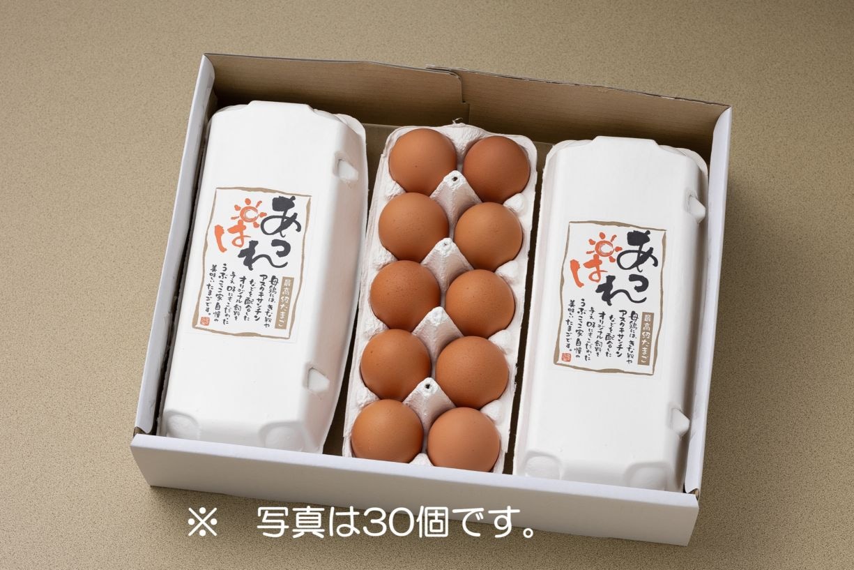 【1回・送料込】あっぱれたまご（60個入）｜うぶこっこ家最高級卵