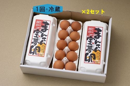 【(冷蔵)1回購入・送料込】まんてん宝夢卵（60個入）