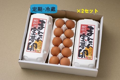 【(冷蔵)定期購入・送料込】まんてん宝夢卵（60個入）｜新鮮卵を定期でお届け