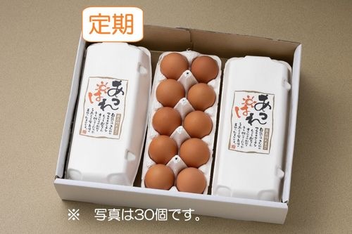 【定期・送料込】あっぱれたまご（60個入）｜うぶこっこ家最高級卵