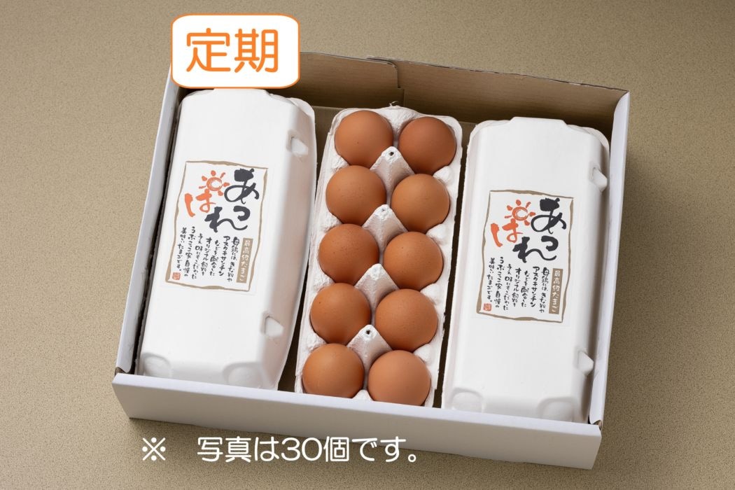 【定期・送料込】あっぱれたまご（90個入）｜うぶこっこ家最高級卵