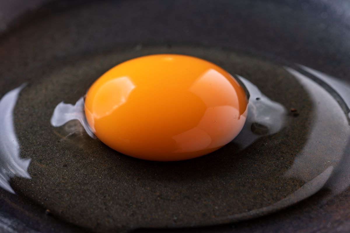 【(冷蔵)1回購入・送料込】まんてん宝夢卵（90個入）｜新鮮卵をお届け