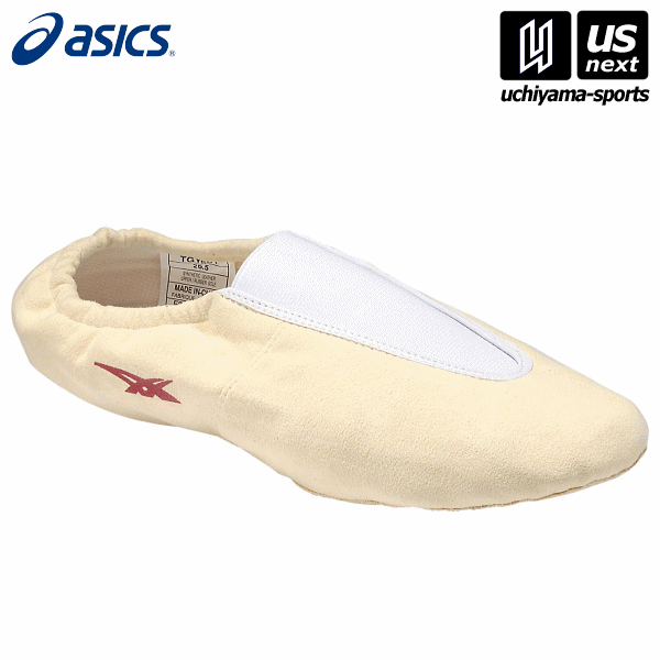 【さらに10%引(一部対象外)】 アシックス 体操シューズ 体操EX 2025年継続モデル  [物流]【あすつく対応】【メール便不可】 asi-tgy501-a