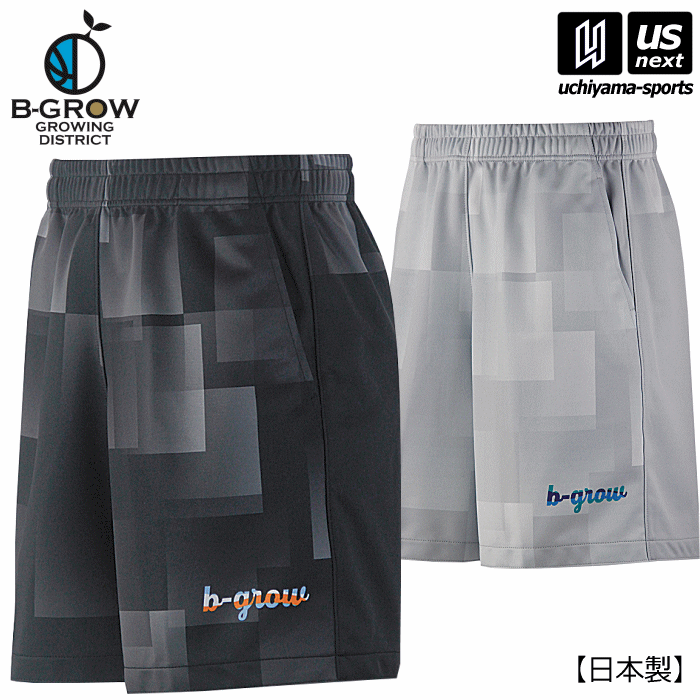 【クーポンでさらに10%引】 B－GROW/チームファイブ メンズ バスケットボール BBショーツ B－GROW 2024年継続モデル [自社]【あすつく対応】【メール便不可】 BBDS01