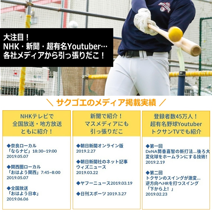 サクゴエ バッティングティー SAKUGOE 大阪のものづくり企業HANG  [自社]【あすつく対応】【メール便不可】 SAKUGOE