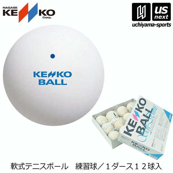 ナガセケンコー ソフトテニスボール スタンダード・ホワイト（TSSW-V） 2026年継続モデル  [自社]【あすつく対応】【メール便不可】 nag-tsswv-a
