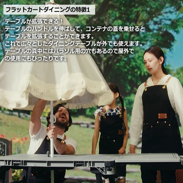  花岡車輌 フラットカート ダイニング + テーブルコンテナ2個 セット組 F-CART DINING 台車 テーブル  [自社]【あすつく対応】 FCARTDINING TC