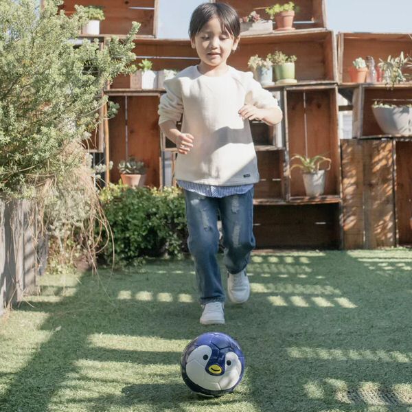 スフィーダ サッカーボール 1号球 FOOTBALL ZOO 2024年継続モデル [自社]【あすつく対応】【メール便不可】 bsfzoo06