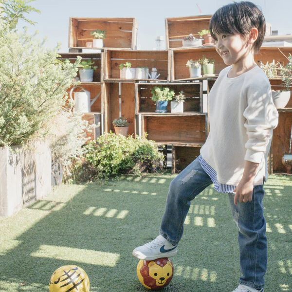 スフィーダ サッカーボール 1号球 FOOTBALL ZOO 2024年継続モデル [自社]【あすつく対応】【メール便不可】 bsfzoo06