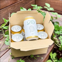 CBD Beer 6ܥå