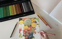 三菱鉛筆　ユニカラー色鉛筆　36色セット　大人の塗り絵・コロリアージュ向け