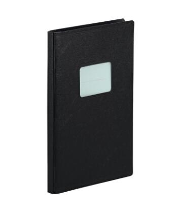 リヒトラブ ウインドファイル F-26 A4サイズ 80枚収納 書類タイトルが見える窓付きファイル お得なまとめがい10冊セット