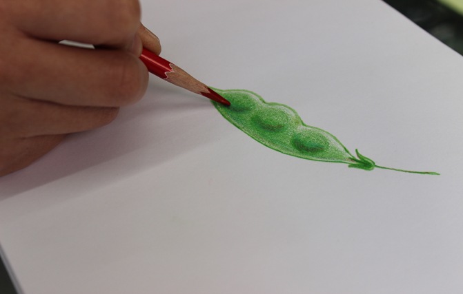 【軽い力で発色よく描ける】 三菱鉛筆 toirono トイロノ 24色セット TR24C 色鉛筆 【多様な色表現がしやすい】