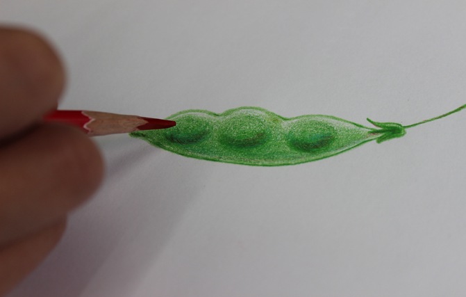 【軽い力で発色よく描ける】 三菱鉛筆 toirono トイロノ 24色セット TR24C 色鉛筆 【多様な色表現がしやすい】