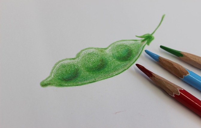 【軽い力で発色よく描ける】 三菱鉛筆 toirono トイロノ 24色セット TR24C 色鉛筆 【多様な色表現がしやすい】