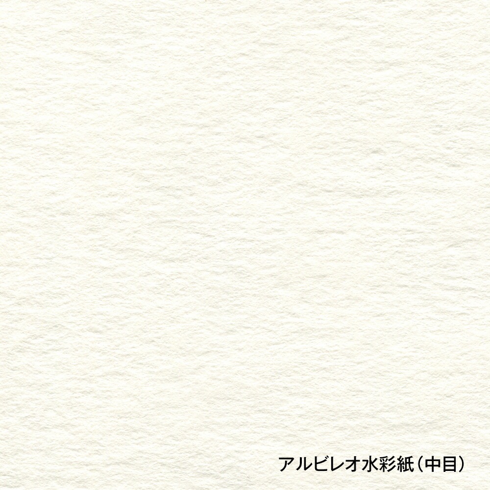ホルベイン画材アルビレオ水彩紙スケッチブックＦ6