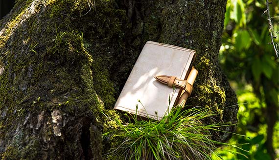 KNOXのオールハンドメイド】 KNOX ノックス FLUCT（フラクト）システム