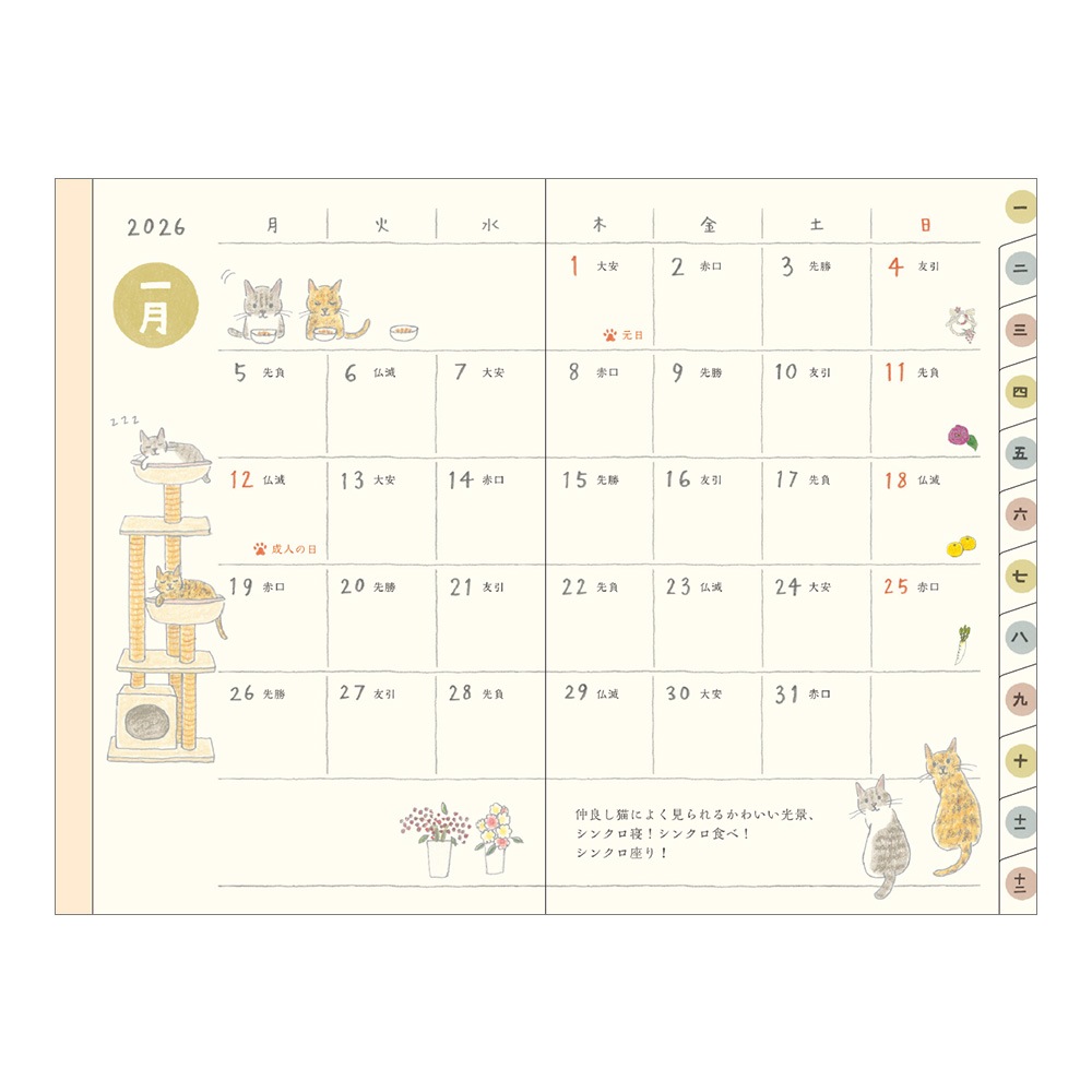 【2026年1月始まり】デザインフィル　ミドリ　ポケットダイアリー　ポケットダイアリー<ミニ> ネコ柄 　22357006