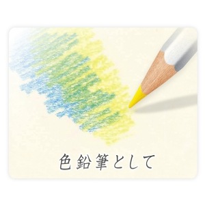 【大人の塗り絵・コロリアージュに】ステッドラー　水彩色鉛筆　カラト　アクェレル60色セット　125M60