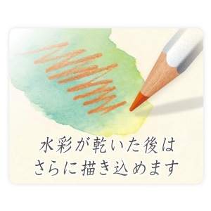 【大人の塗り絵・コロリアージュに】ステッドラー　水彩色鉛筆　カラト　アクェレル60色セット　125M60