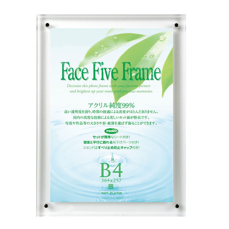 アートプリントジャパン フェイスファイブフレーム クリア B4サイズ