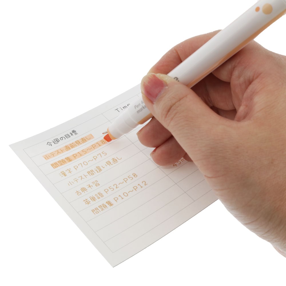 ベニさん専用 1つのペン先にペン＆マーカーサンスター文具Ninipie ニニピーライト