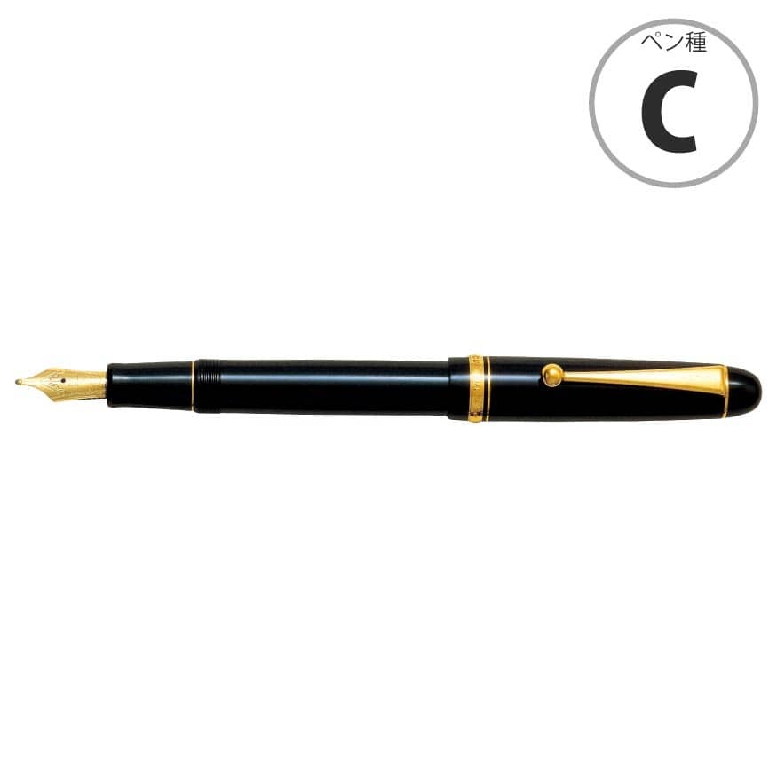 【本格的な書き味】パイロット カスタム74 FKKN-14SR ブラック C コース MS ミュージック 万年筆
