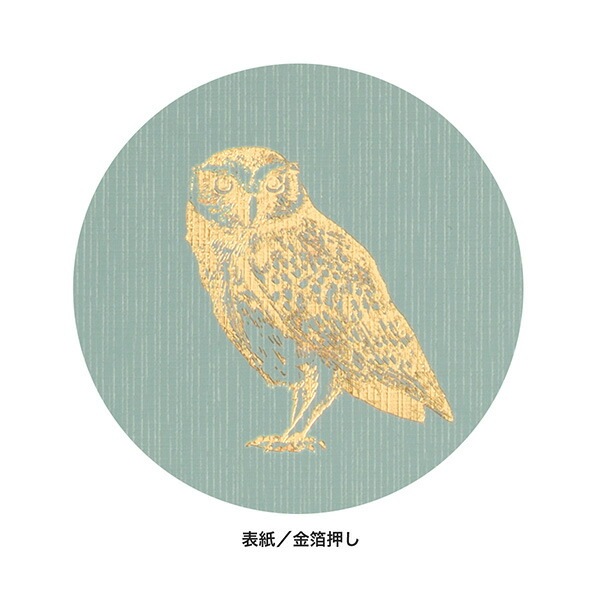 夜に書くおやすみ日記ミドリ日記 おやすみA12870-006日記人気のモチーフ