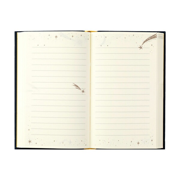 物語のように日々を綴るミドリ日記 1日1ページ 洋書 星柄12880-006日記1日1ページの「1年日記」