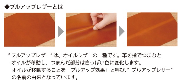 パイロット ANTIQOLD アンティコルド　名刺入れ　ダークブラウン