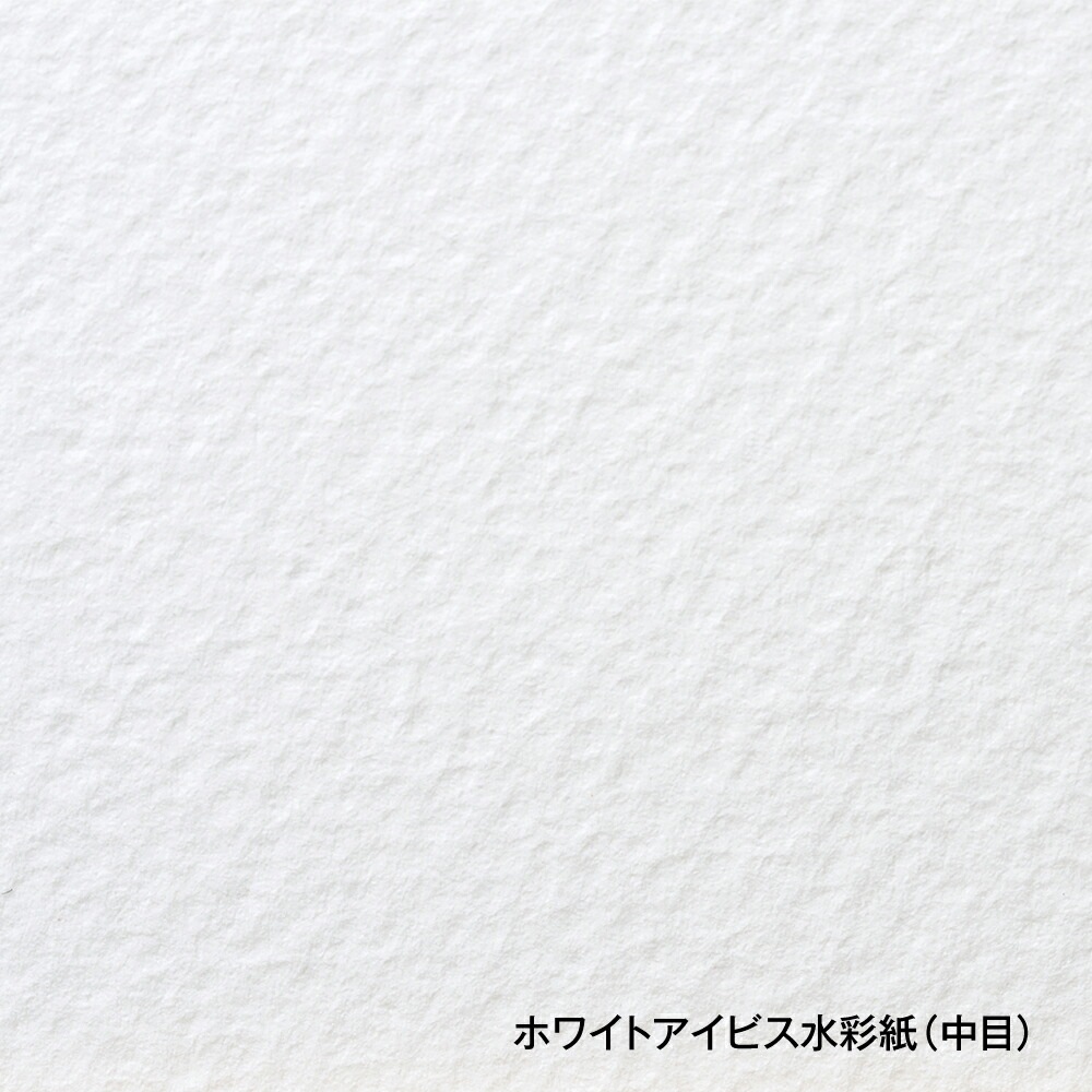 ホワイトアイビス水彩紙1/4色紙5枚入り
