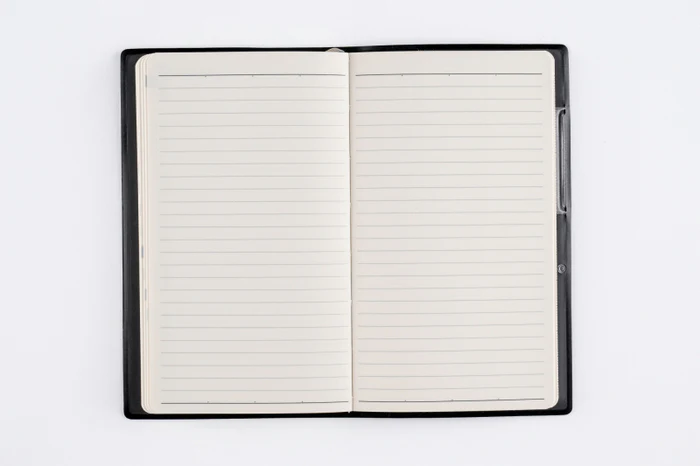 2026年1月始まり】 高橋書店 [No.133] ニューダイアリー ミニ 1【黒