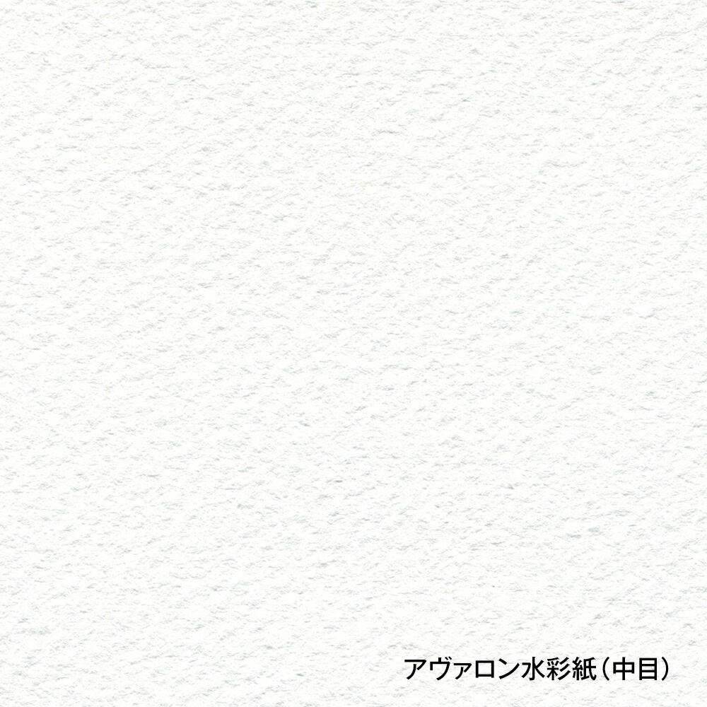 ホルベイン画材　アヴァロン水彩紙　ブロックF4　AVB-F4