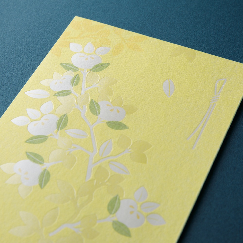 デザインフィルミドリ 金封587 のし袋 橘柄 25587006 