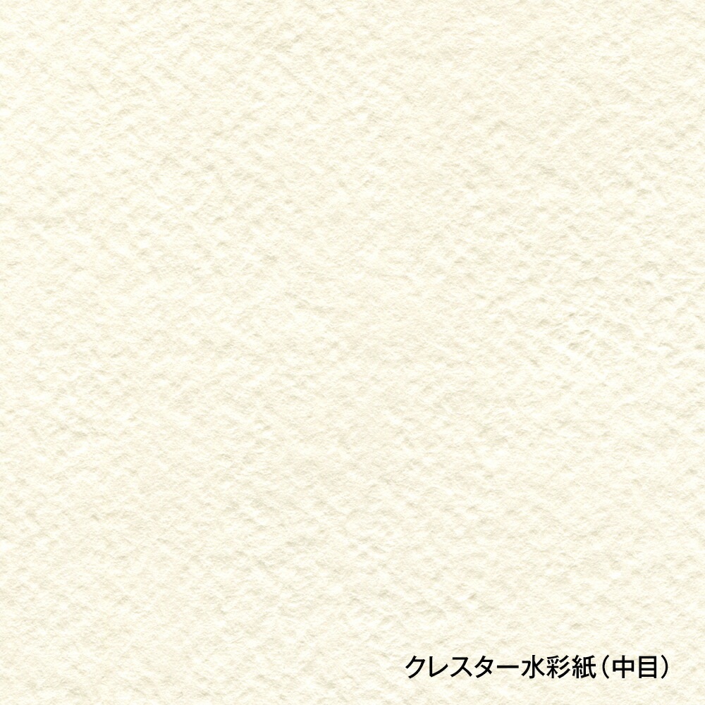ホルベイン画材クレスター水彩紙スケッチブックブロックタイプＦ10