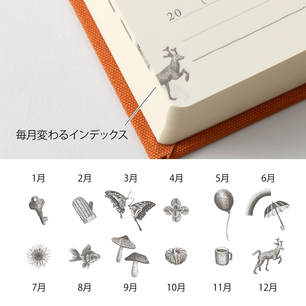 デザインフィルミドリ　日記 5年連用 扉 ミニ 赤