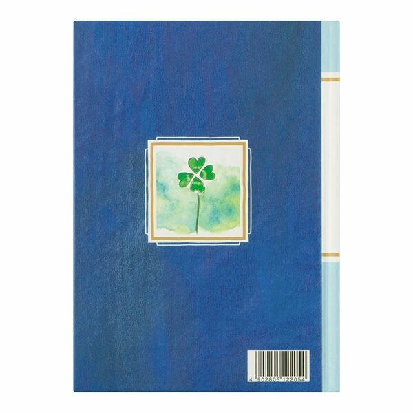 ミドリ日記　流れ星柄