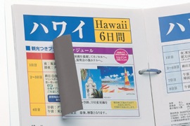 【下地がかくせる修正タイプ】 エーワン ラベルシール［プリンタ兼用］ 下地がかくせる修正タイプ マット紙・ホワイト　A4判 1面 ノーカット 31281 プリンタ用紙ラベル