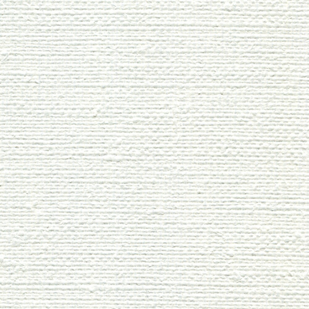 ホルベイントリム張りキャンバスＦ10油彩・アクリル用