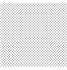 デリータースクリーンSE-1