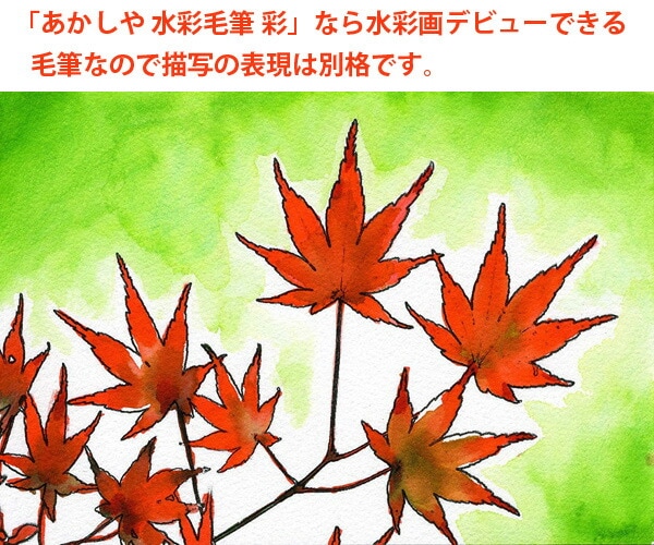 あかしや彩 Sai水彩筆ペン｜上野文具